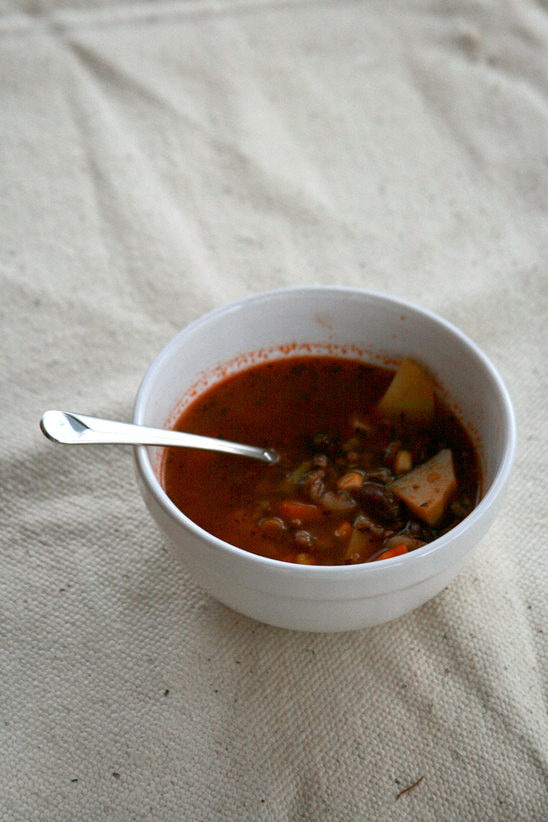 a dash of faith mexicanstyle ground beef soup