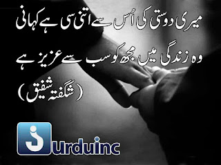poetry, urdu poetry, ghazal, urdu ghazal, shar, urdu shar, ashaar, shagufta shafiq poetry