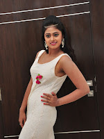 Meghasri photos at Anaganaga Oka Chitram audio-cover-photo