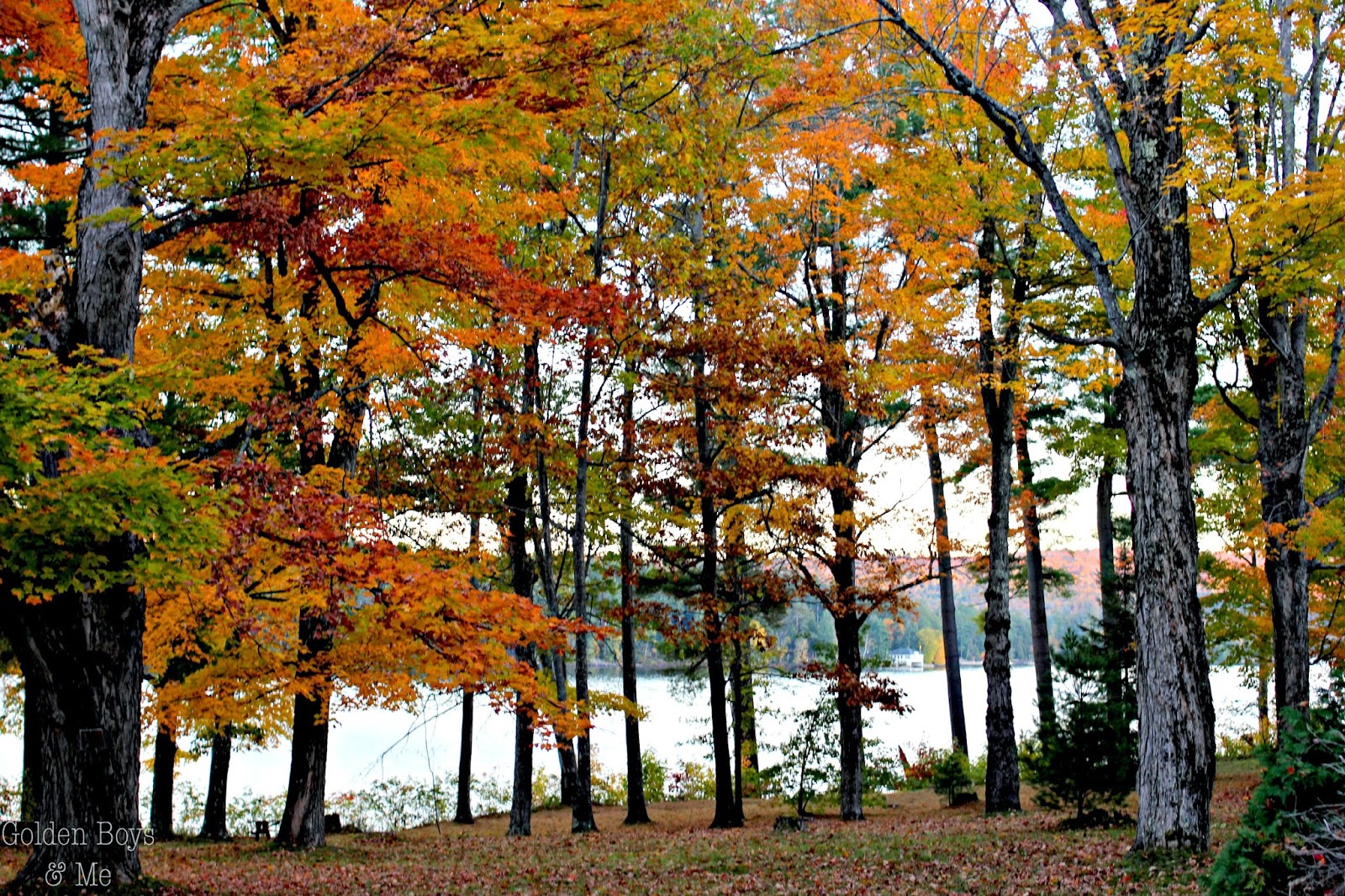 Peak fall foliage in the Adirondack Mountains-www.goldenboysandme.com
