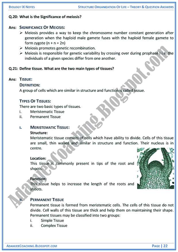 structural-organization-of-life-theory-notes-and-question-answers-biology-notes-for-class-9th