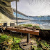 What Happens When A Football Stadium Is Abandoned For 8 Years