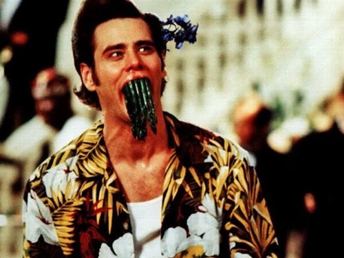 Watch Ace Ventura: When Nature Calls Online Mic Watch Ace Ventura: When Nature Calls Online Mic