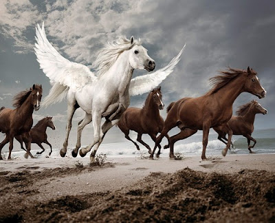 http://4.bp.blogspot.com/-_PCXmbAHJtg/UgFx0j8vm-I/AAAAAAAAeH4/7UNbbahvF_E/s400/fantasy,horse,art,horses,pegasus,painting-af978bfd528156cf46d1c4a10140ca6e_h.jpg