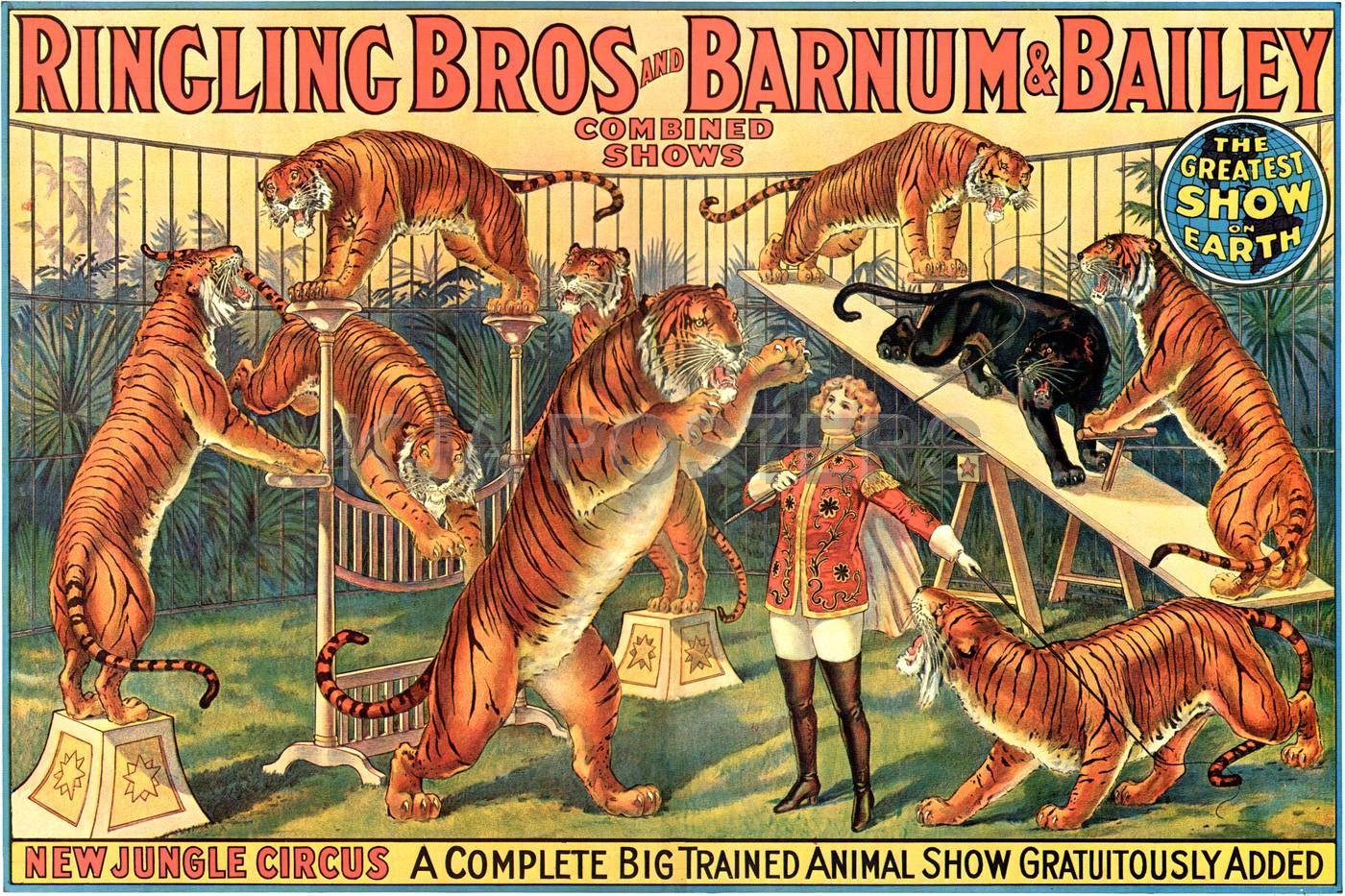 barnum and bailey