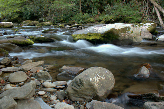 Little River in the Great Smoky Mountains National Park