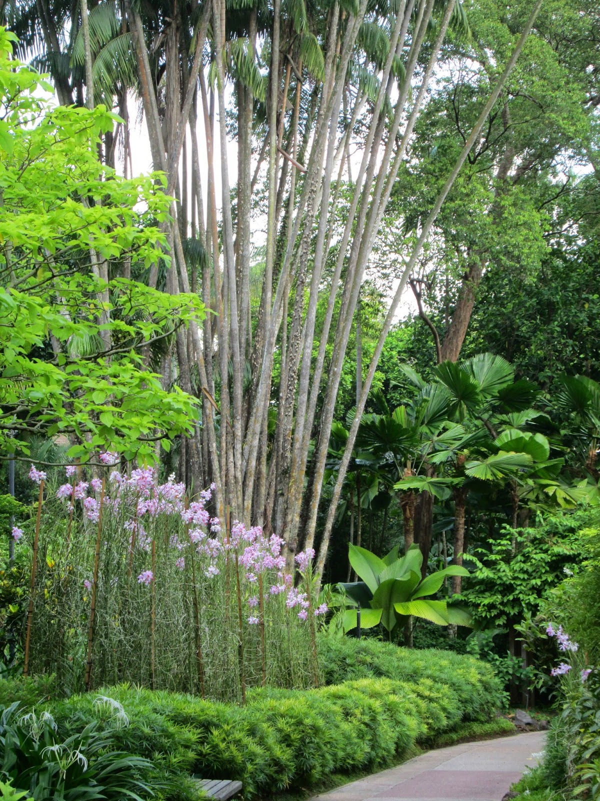 Singapore Botanical Garden, Orchard Garden