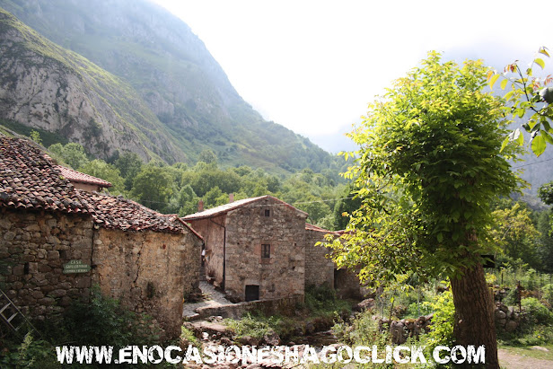 Fotos de las Montañas de Asturias