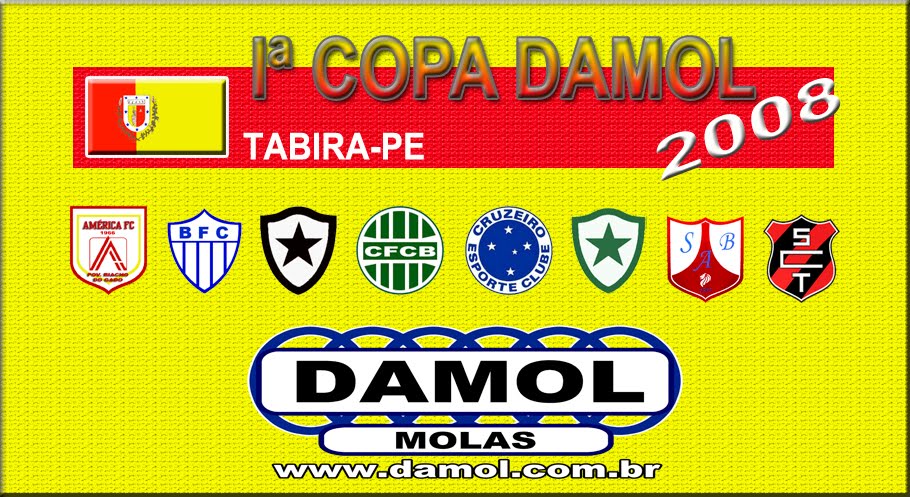 Copa Damol 2008