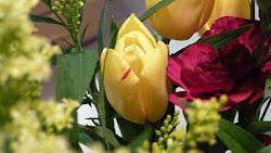 Tulip in bouquet