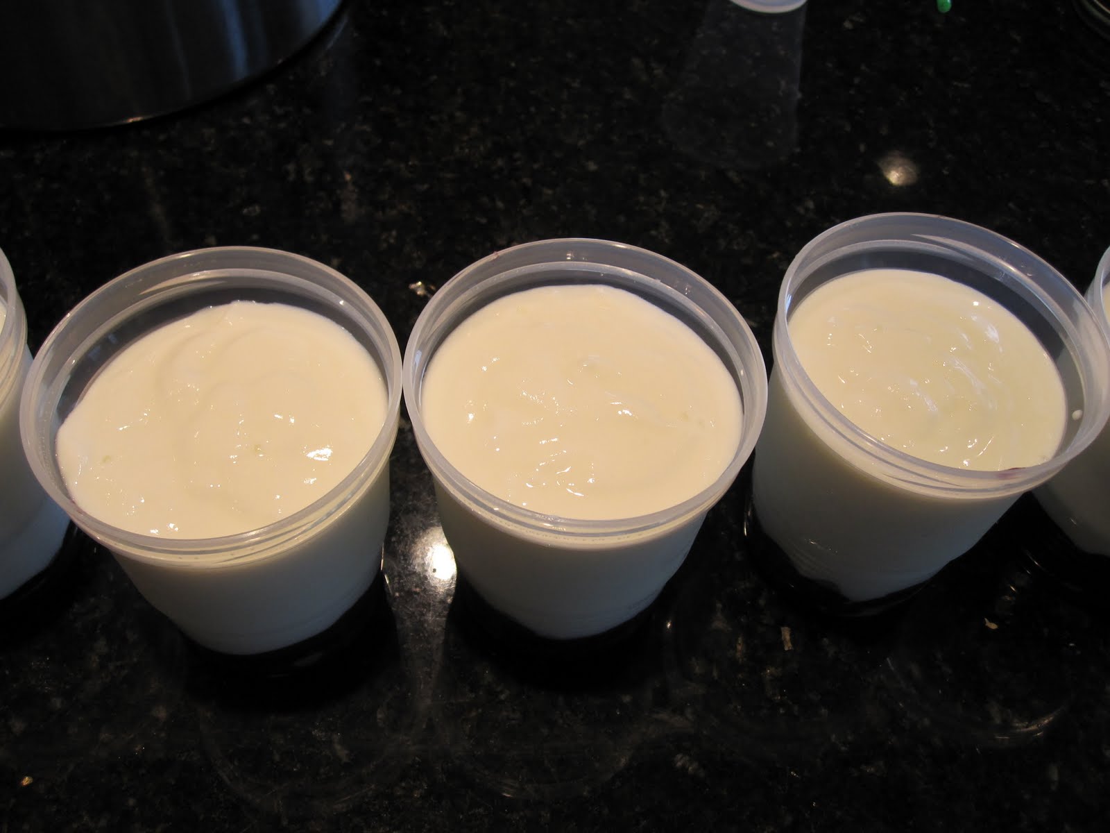 My Two Cents Homemade Buttermilk and Yogurt