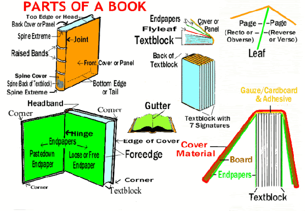 Anatomy of a book report picture