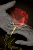 El destino sabe de nuestro amor. Cartas de amor