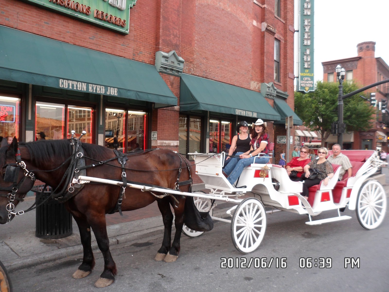 Sugar Creek Carriages Horse Carriage Tours Tours Nashville