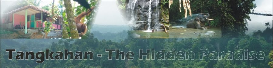 Tangkahan - The Hidden Paradise