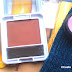 Review // Wet n Wild Ultimate Bronzing Powder!