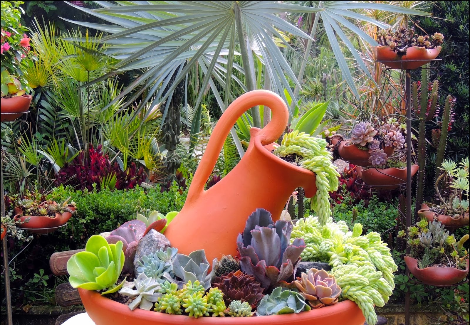 mini jardim cactos suculentas:Enviar por e-mail BlogThis! Compartilhar no Twitter Compartilhar no mini jardim cactos suculentas:Enviar por e-mail BlogThis! Compartilhar no Twitter Compartilhar no