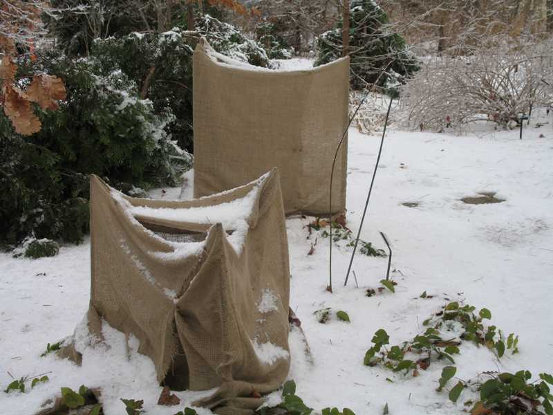 Earthworks, St. Peter, Minnesota Wrapping Trees for Winter