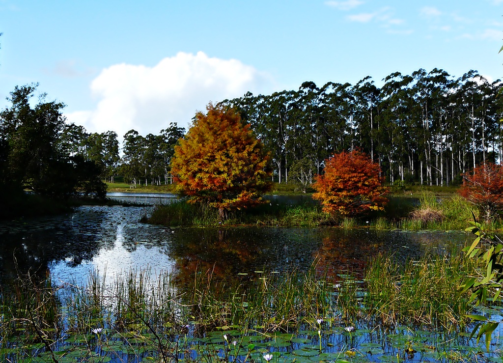 Australian Adventures Natural, Cultural information and photos! Lake