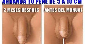 Una pequeña muchacha chupa un muy pequeño miembro