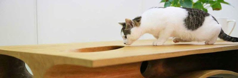 CATable, la mesa para humanos y gatos