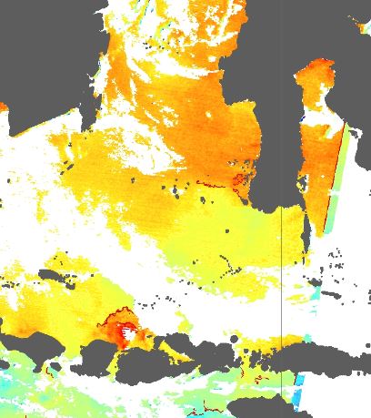 Cara Identifikasi Upwelling Dari Citra Satelit Aqua Modis Dan Terra Modis Indooseanografi