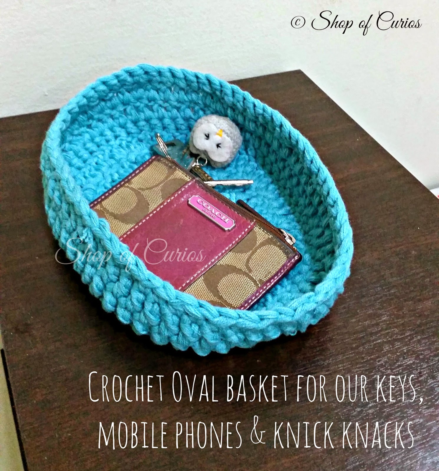 A simple small crochet oval basket We are the DinoFamily 我們是恐龍家族