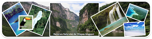 RECURSOS NATURALES DE CHIAPAS