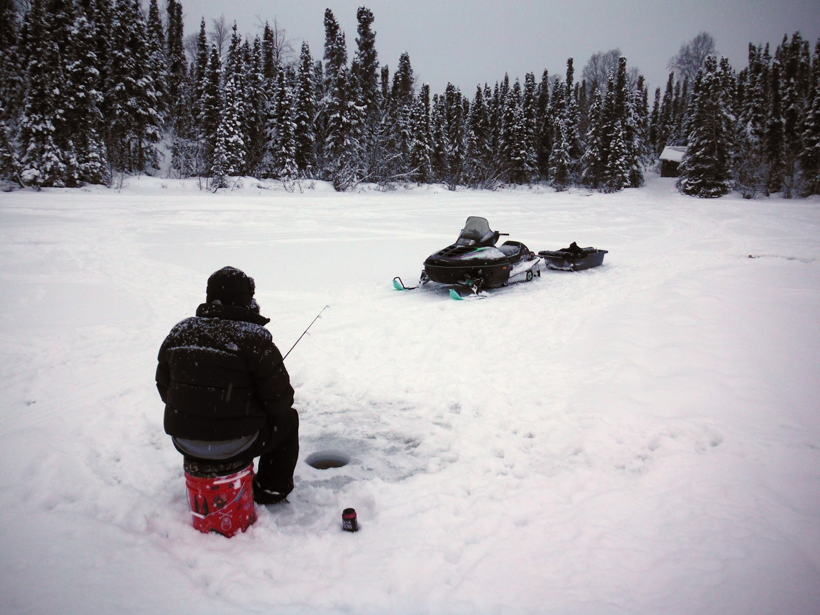 Our Alaskan Adventures Red Shirt Lake Cabin Trip