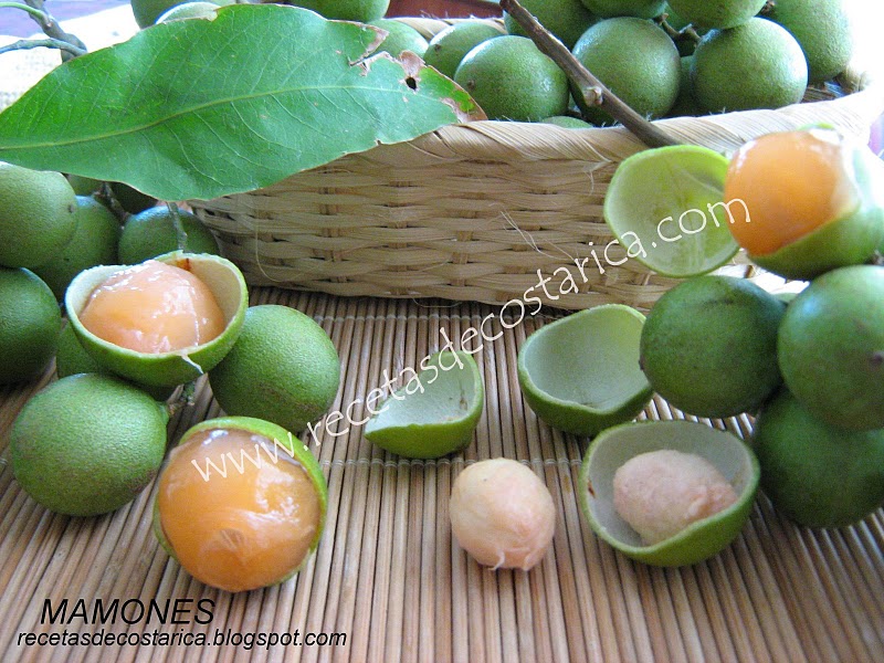 Cocina Costarricense fruta del mamón mamones