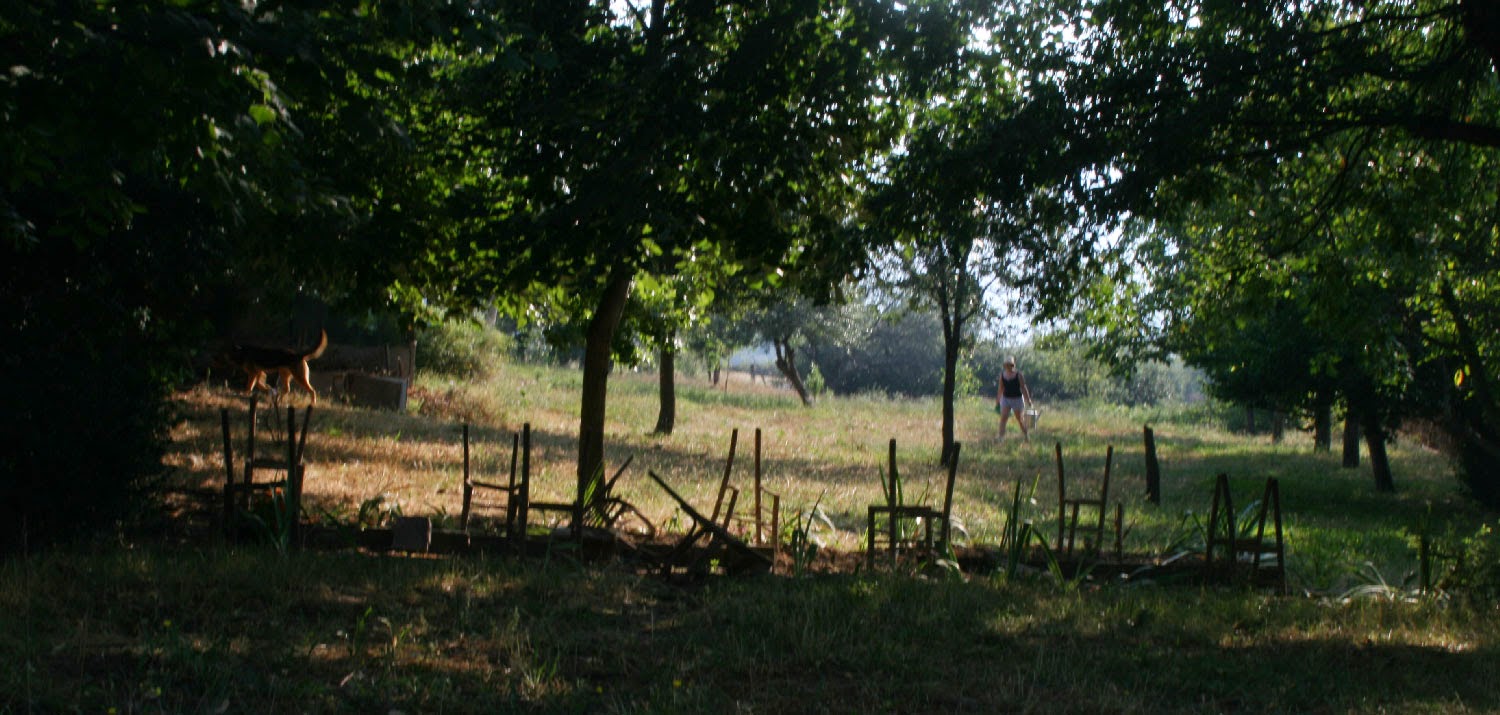 Morning watering round not done by me Morning watering round not done by me