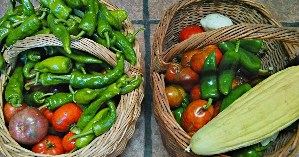 Permacultura, Autosuficiencia y Tecnología: Como Tener un Huerto muy