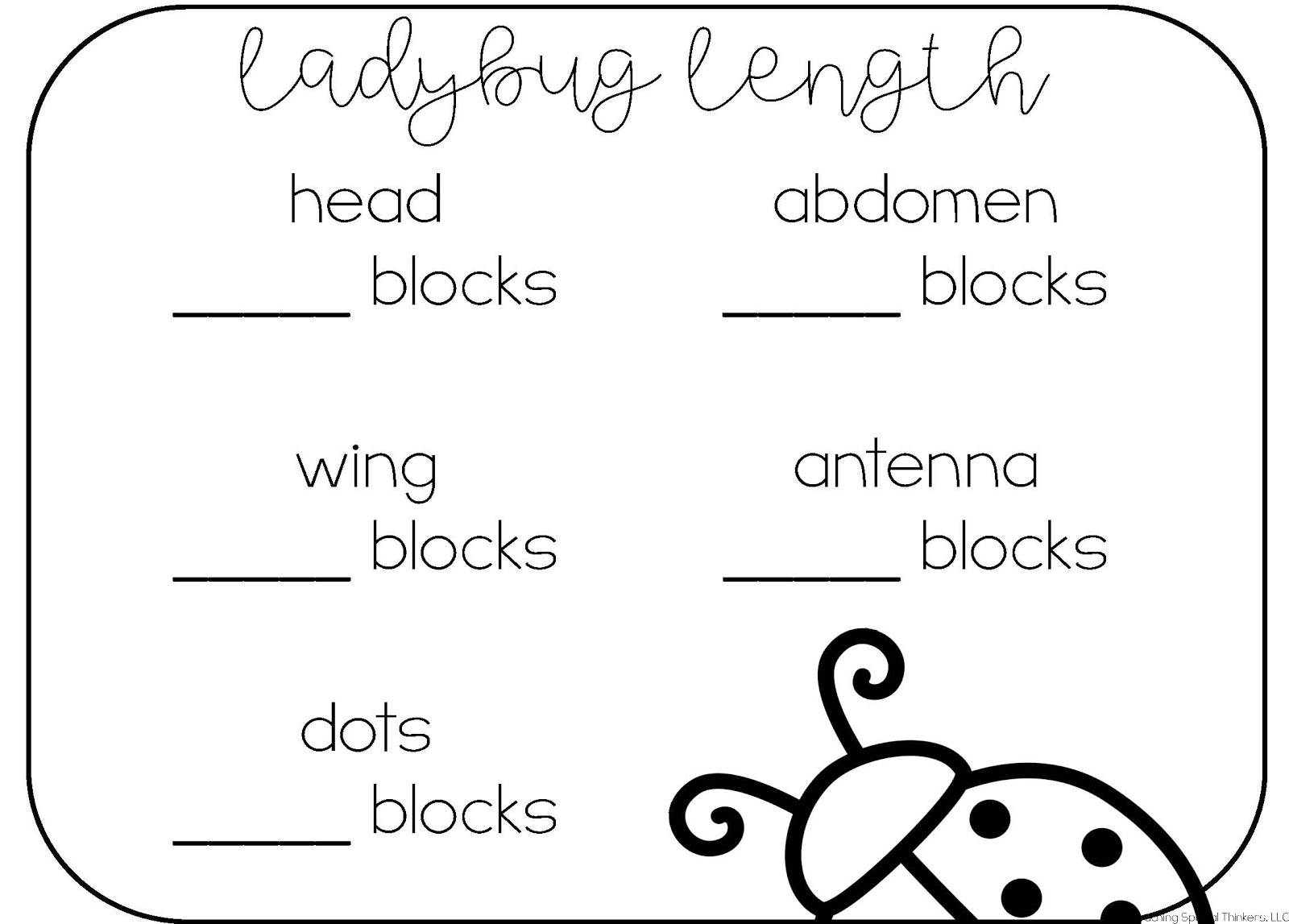 Ladybug Length Measurement Creativity