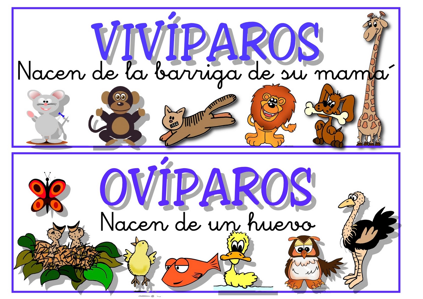 LOS ANIMALES SE LES los animales se les: