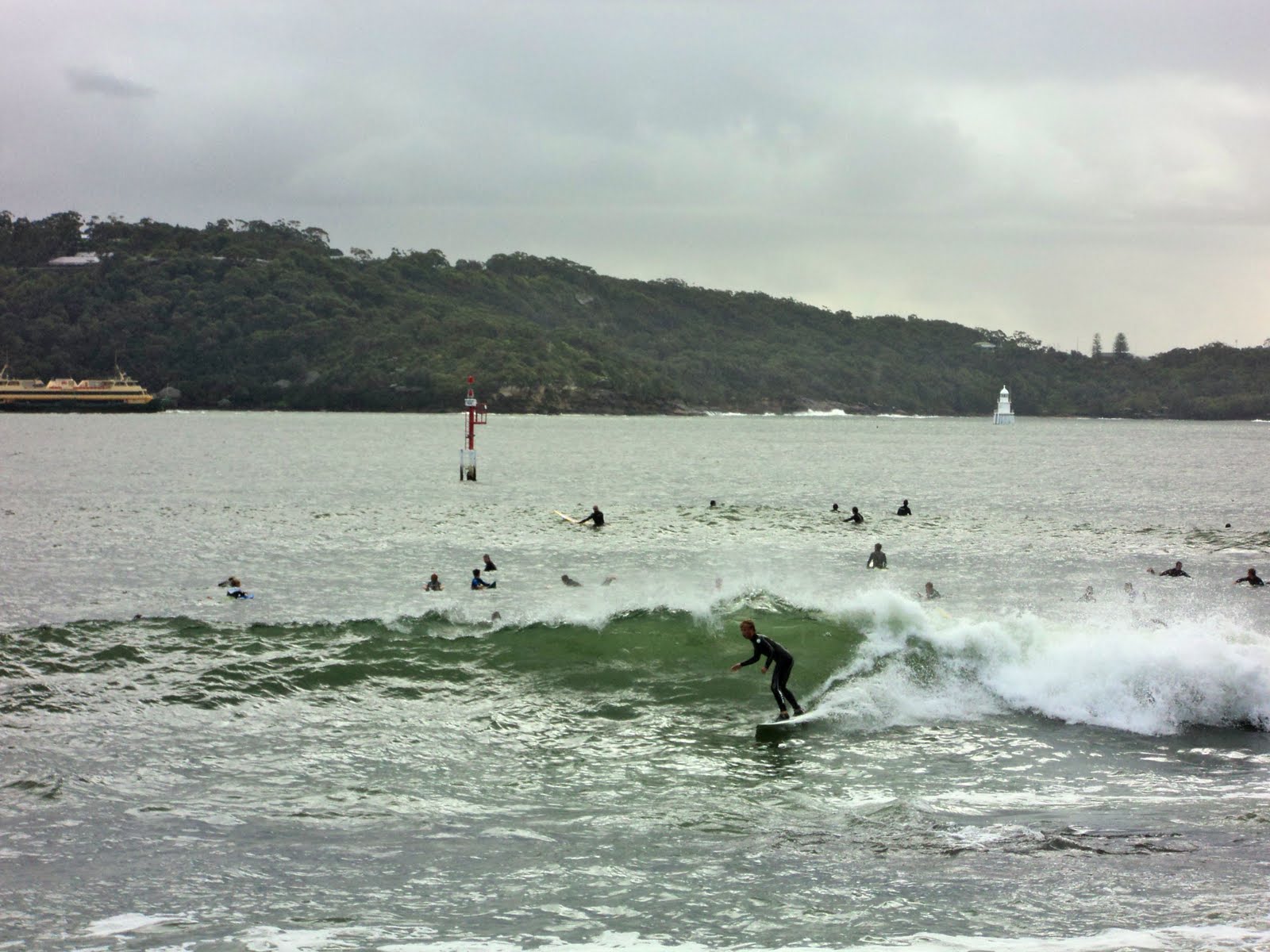 surfing sydney harbour
