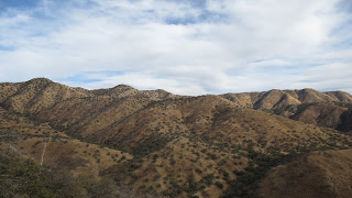 Coues+Deer+Country+in+Sonora+Mexico+with+Colburn+and+Scott+Outfitters+3.JPG
