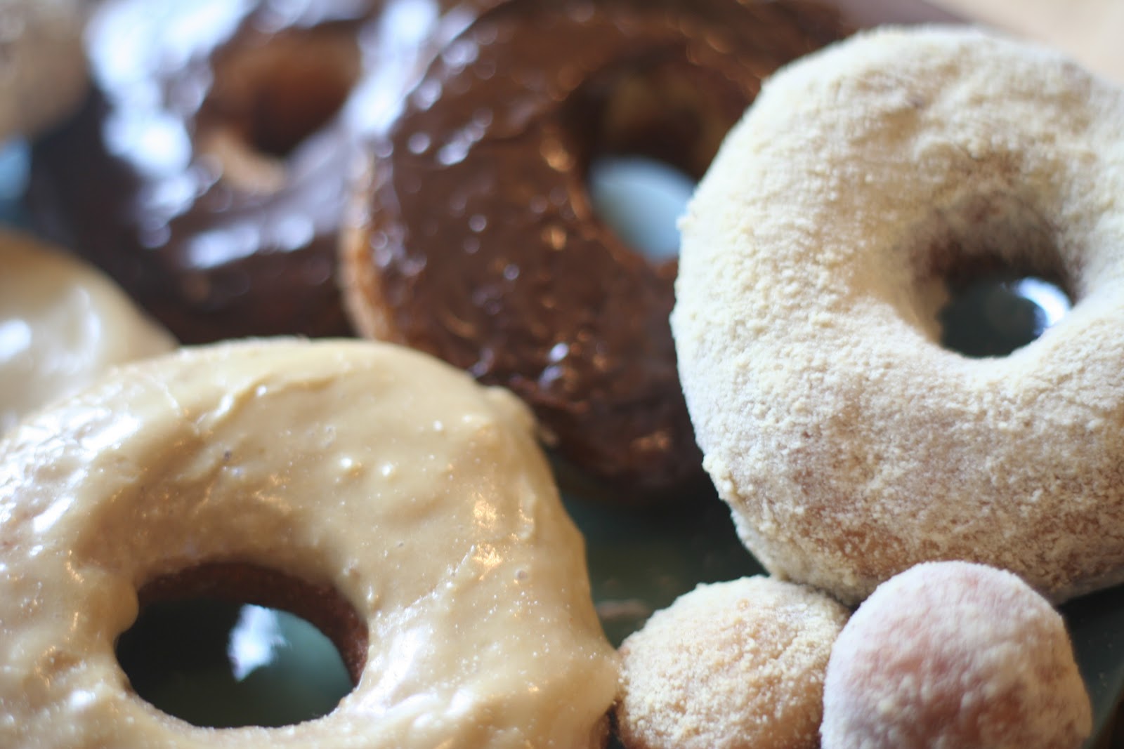tHis family tree Whole Wheat Doughnuts...yum!