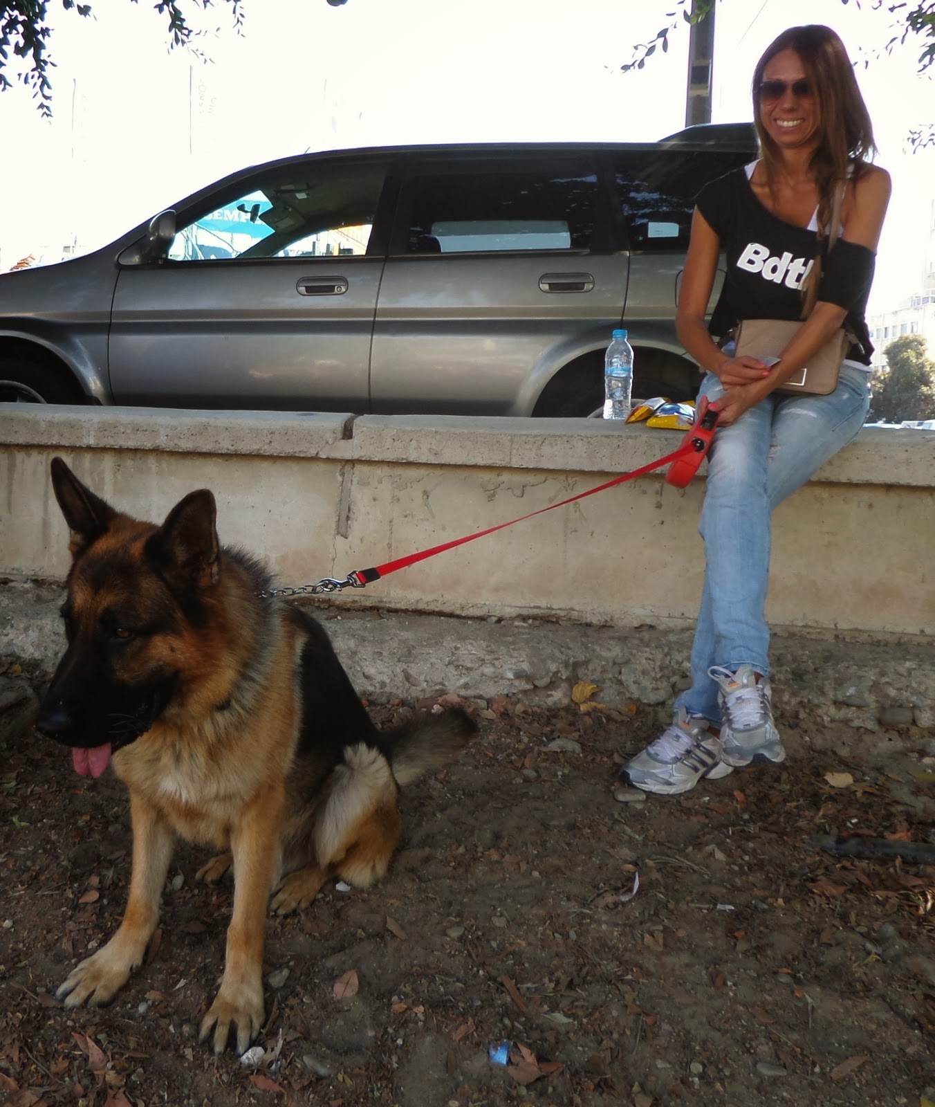 Travel Cyprus With Your Dog Pet Festivals and Dog Shows... with your dog
