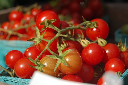 Is Your Garden Planned? | Prepared For Survival - Food Storage