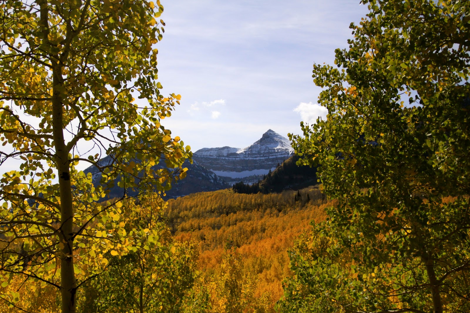 My Scenic Byway Alpine Loop Scenic Byway