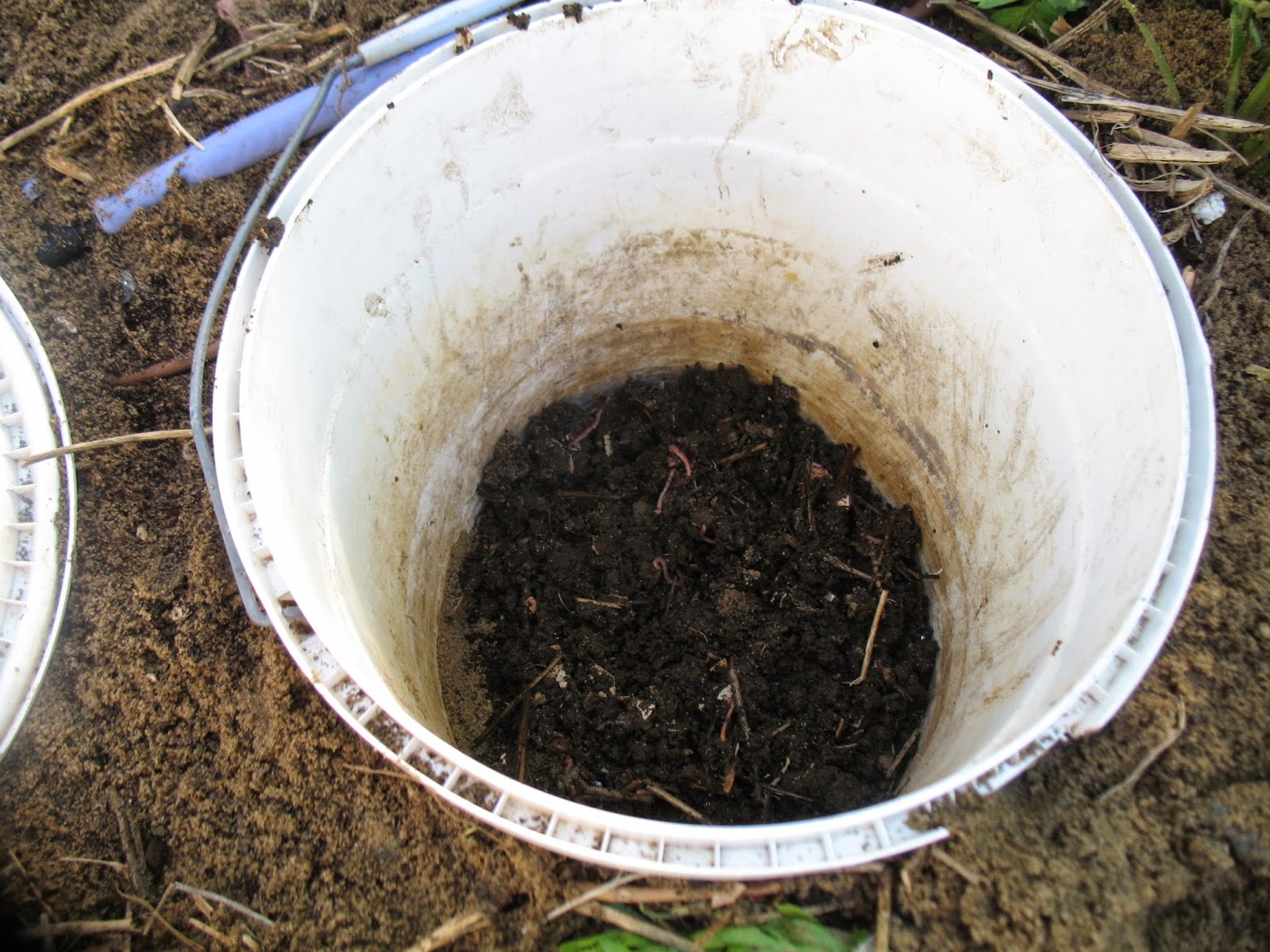 Sustainaburbia Okey's Loo; How to make a dog poo worm farm