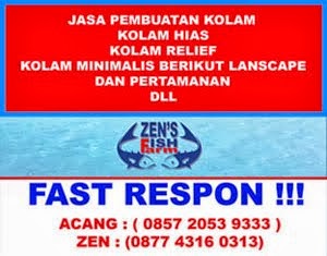 Jasa Pembuatan Kolam