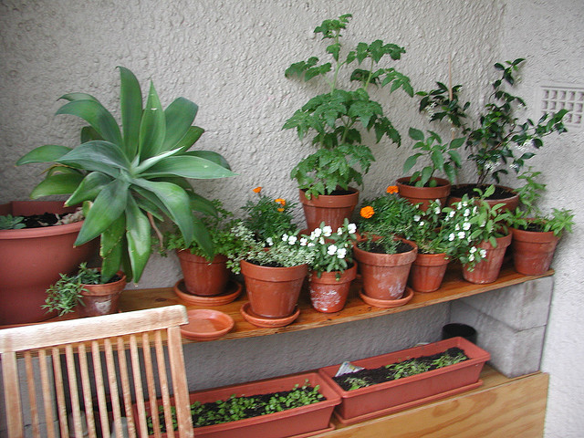 15 lindas sacadas de apartamentos cheias de plantas