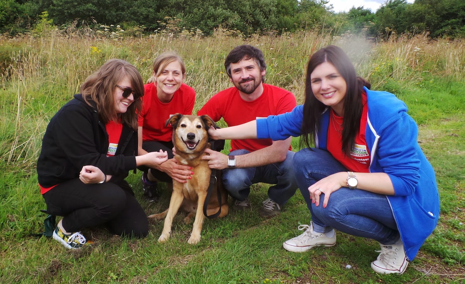 Dogs Trust Dogs Trust West Calder Basil