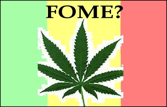 Cientistas descobrem a razão de quem fuma maconha ter larica Cientistas descobrem a razão de quem fuma maconha ter larica