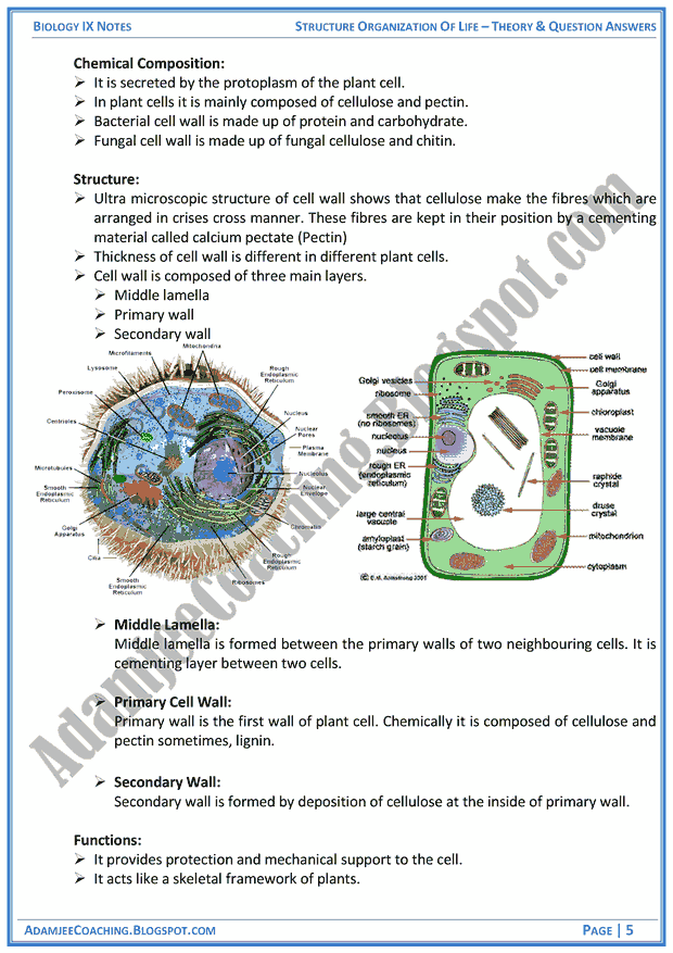 structural-organization-of-life-theory-notes-and-question-answers-biology-notes-for-class-9th