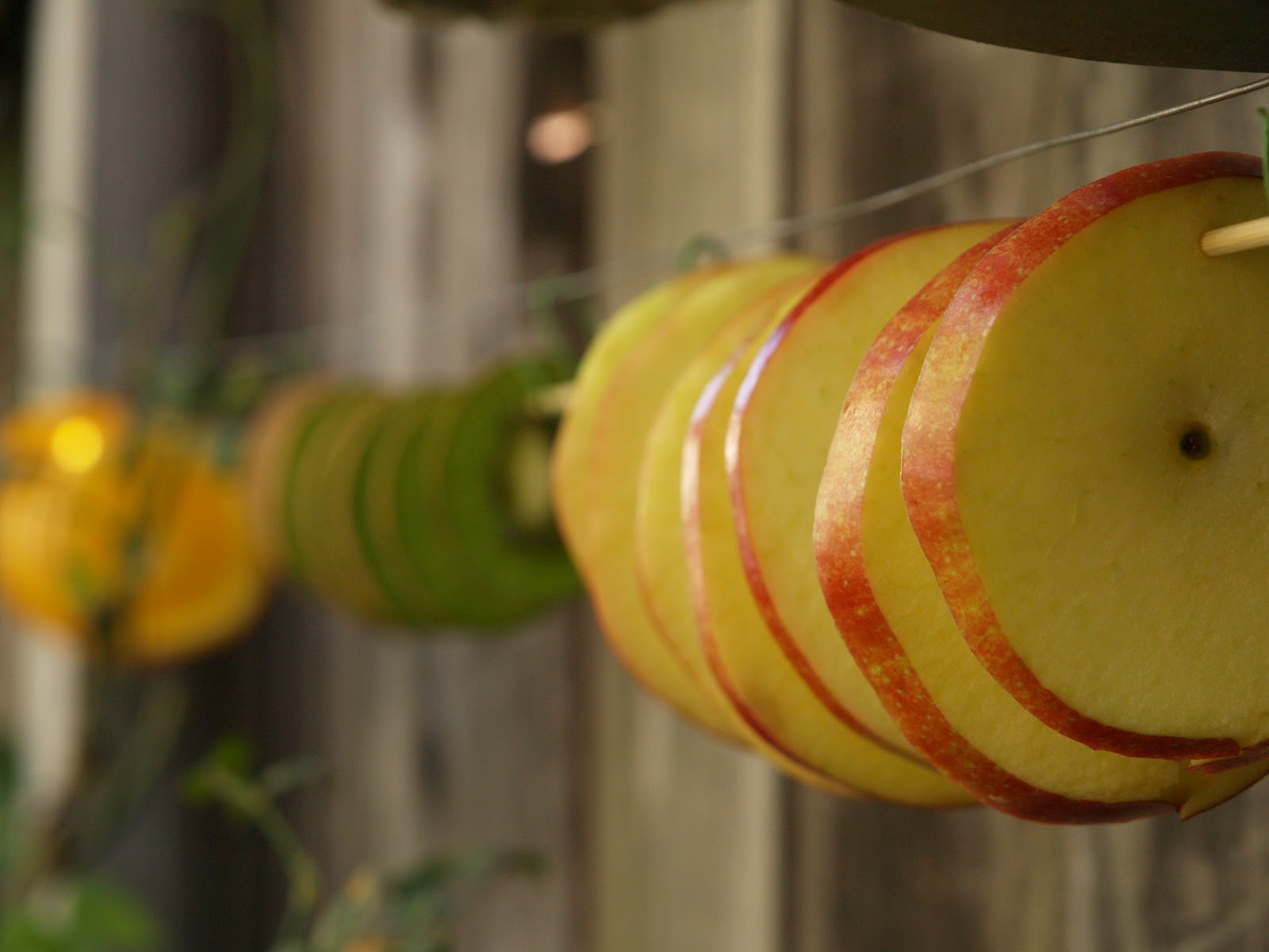 Handmade Christmas Ornaments Dried Apples and Cinnamon The Magic