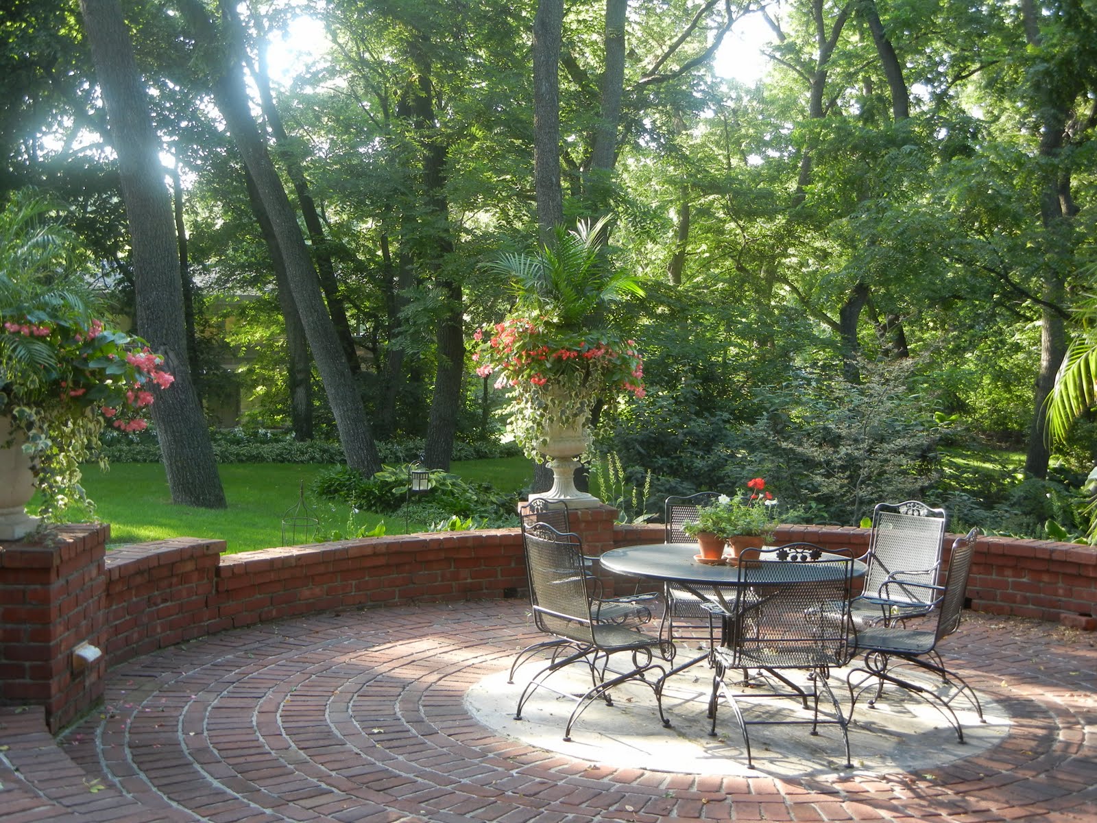 The French Tangerine kelly's garden