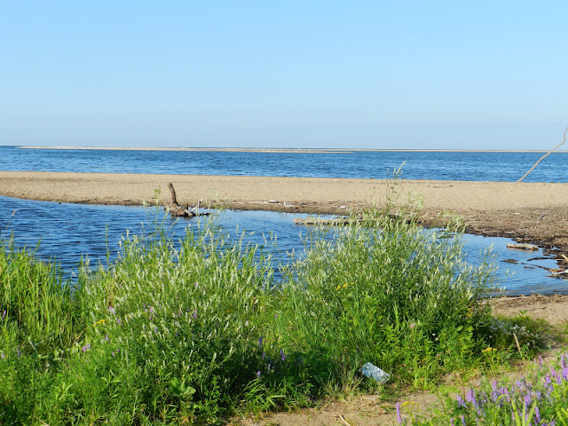 DSCN3128.JPG