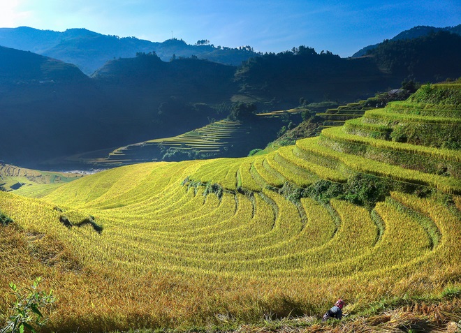 Ruộng Bậc Thang Mù Cang Chải